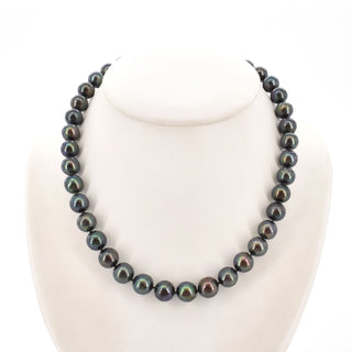 V2025-10-14 - Lot n° 052 Lot n° 52