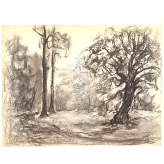 V2025-11-18 - Lot n° 023 Lot n° 23