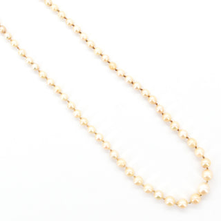 V2025-11-18 - Lot n° 099 Lot n° 99