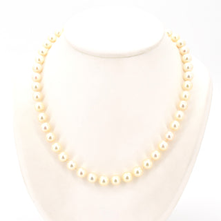 V2025-11-25 - Lot n° 025 Lot n° 25