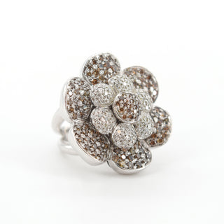 V2025-12-13 - Lot n° 015 Lot n° 15