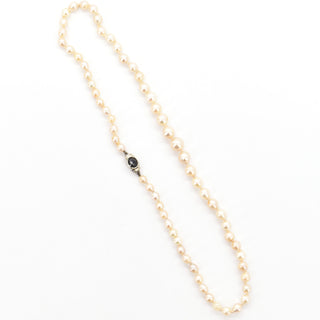 V2026-05-19 - Lot n° 116 Lot n° 116