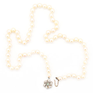 V2026-09-22 - Lot n° 087 Lot n° 87