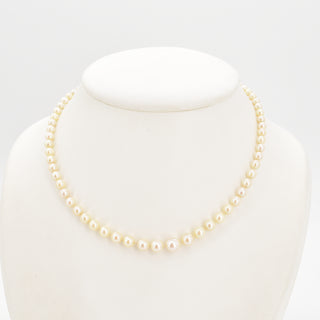 V2026-01-13 - Lot n° 045 Lot n° 45