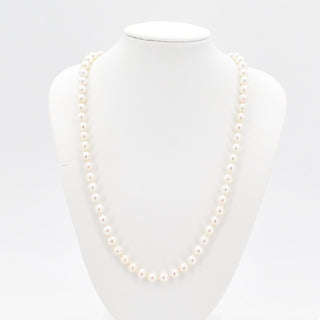 V2026-03-03 - Lot n° 042 Lot n° 42