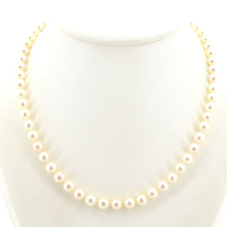 V2026-03-31 - Lot n° 055 Lot n° 55
