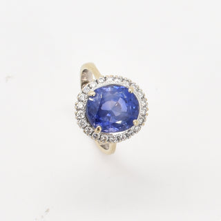 V2026-06-02 - Lot n° 053 Lot n° 53