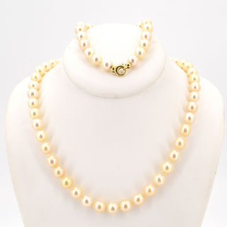 V2026-09-29 - Lot n° 041 Lot n° 41