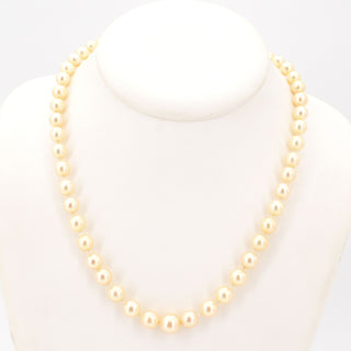 V2026-09-29 - Lot n° 123 Lot n° 123