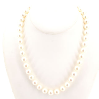 V2026-10-13 - Lot n° 053 Lot n° 53